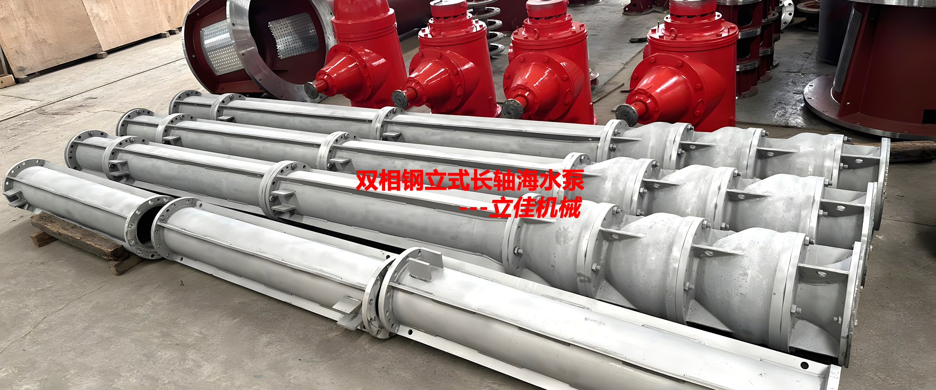 立式雙相鋼長軸泵